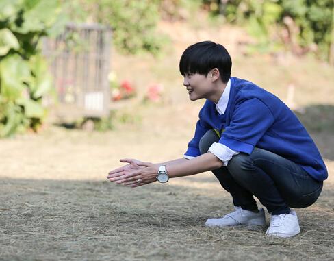 深圳卫视跨年音乐季广告上李宇春唱的那首歌叫