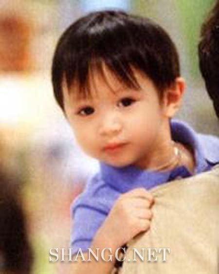 袁咏仪 张智霖 儿子近照 资料 