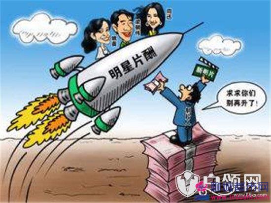 家庭收入分配图_收入费用分配率(3)