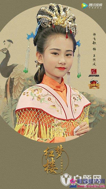 小戏骨版红楼梦演员表介绍 小戏骨红楼梦贾宝玉是谁