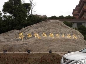 华西村人均年收入_农村人均年收入是多少